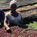 Ethiopian Chelchele Natural – Single Origin Coffee