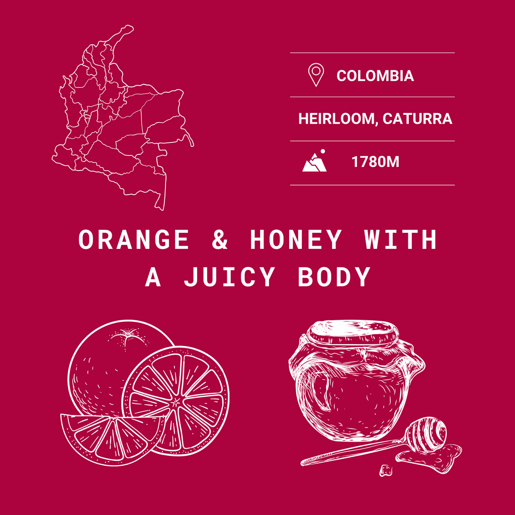 Colombian Volcano Single Origin Coffee