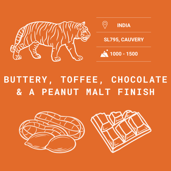 Indian Tiger Mountain Single Origin Coffee