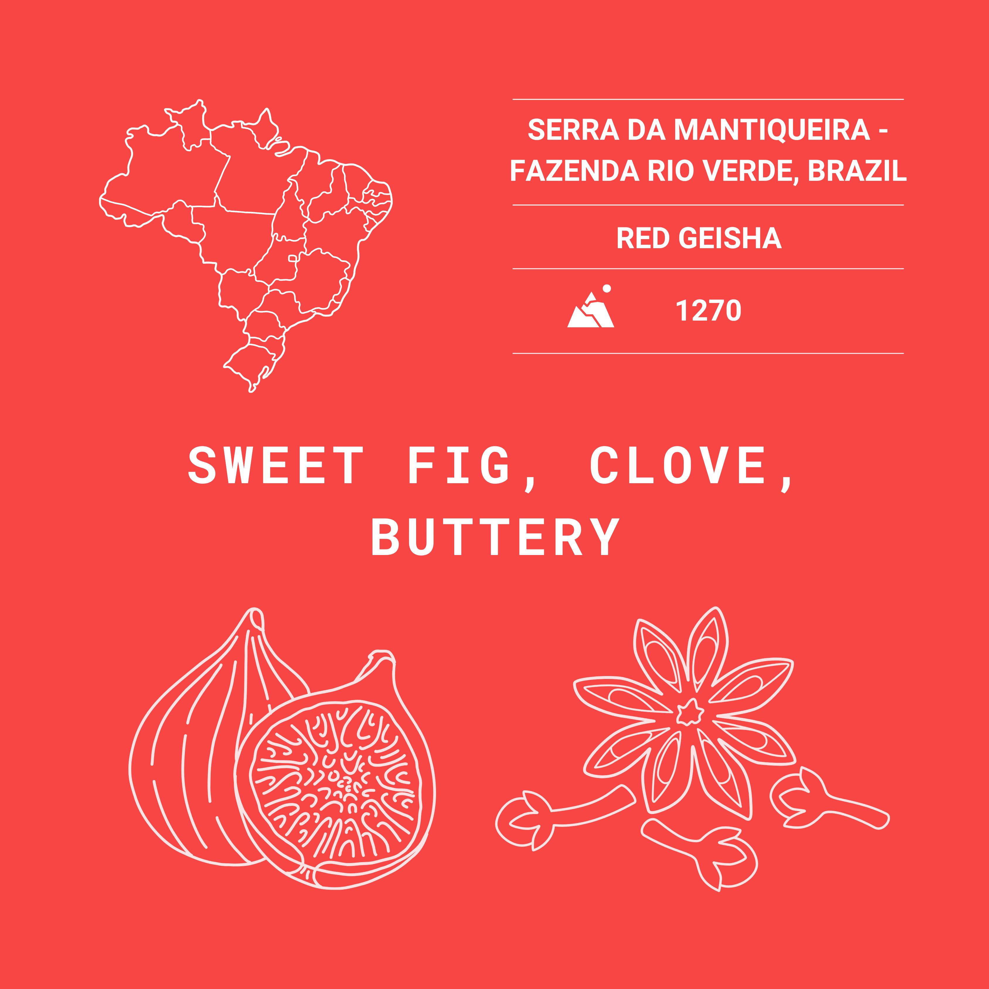 Ipanema Natural Fig – Brazilian Single Origin Coffee