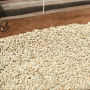 Richmond House Coffee Blend