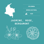Colombian Floral Symphony Natural Geisha